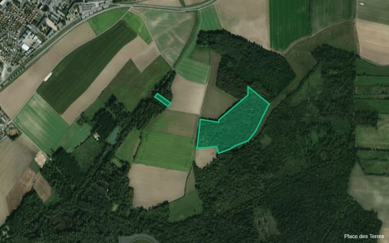 Forêt - 9.6 ha - Laon - Image 3