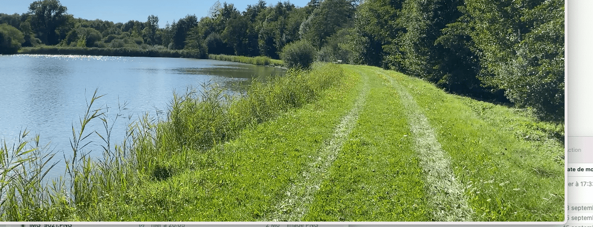 Terres agricoles - 2.6 ha - Le Vigeant