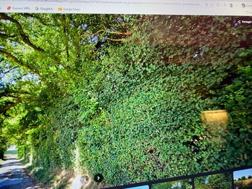 Forêt - 0.3 ha - Clussais-la-Pommeraie - Image 4