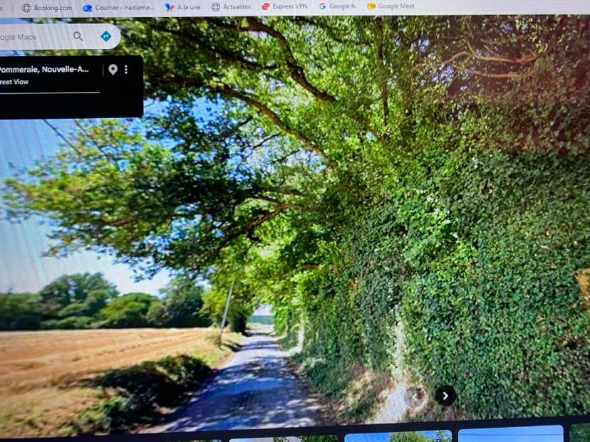Forêt - 0.3 ha - Clussais-la-Pommeraie - Image 2