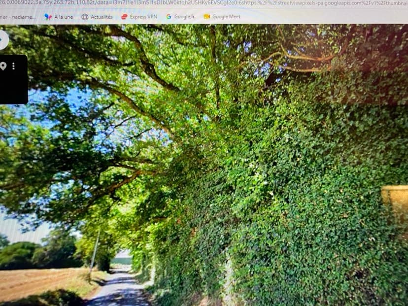 Forêt - 0.3 ha - Clussais-la-Pommeraie - Image 3