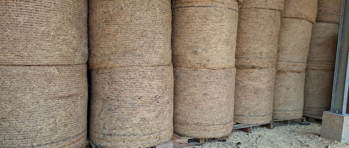 Foin BIO 2026 sous hangar en balles rondes 1,50m (~350kg) – Analyses dispo - Image 2