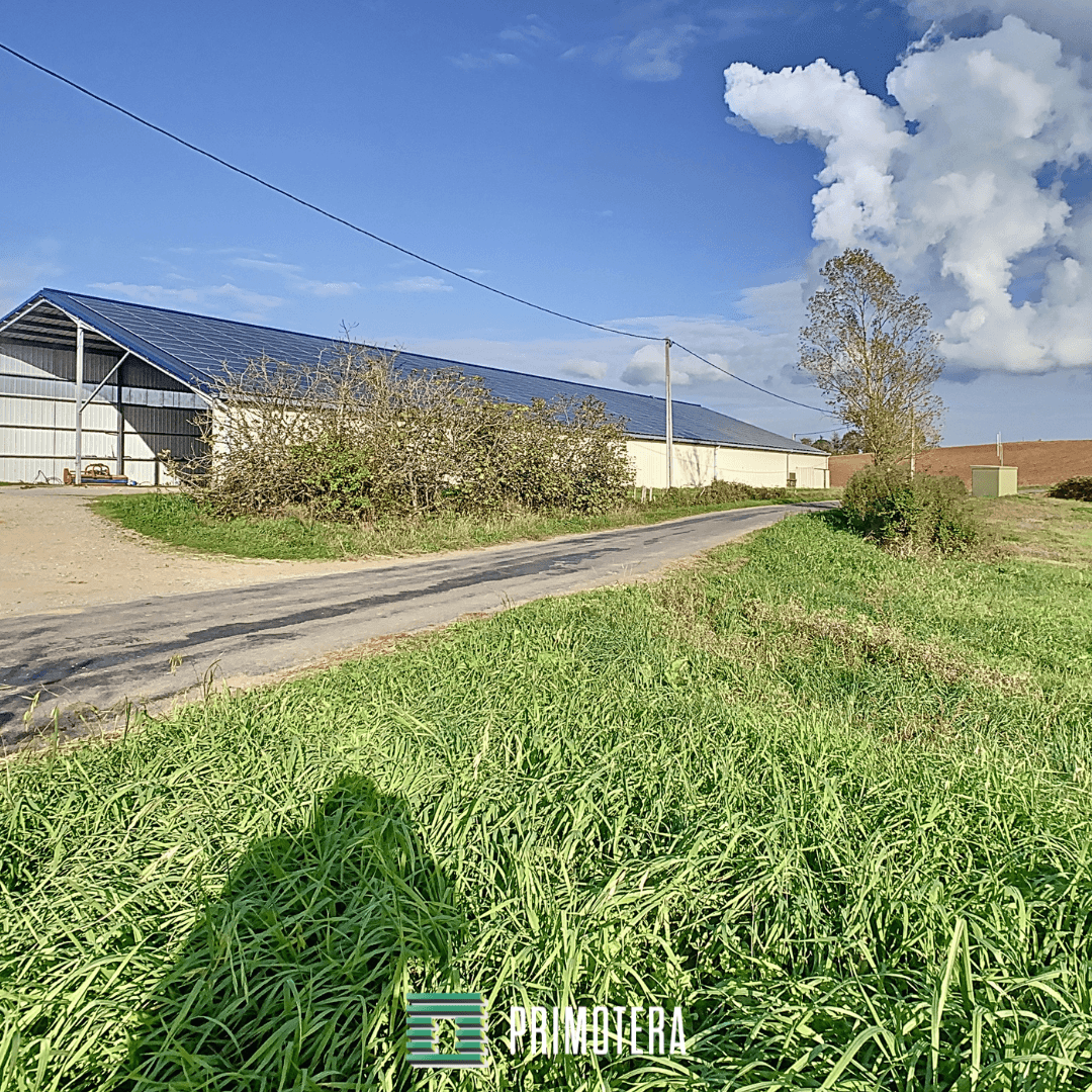 Terres agricoles - 49.0 ha - Chemin de Mas Courrèges - Image 4