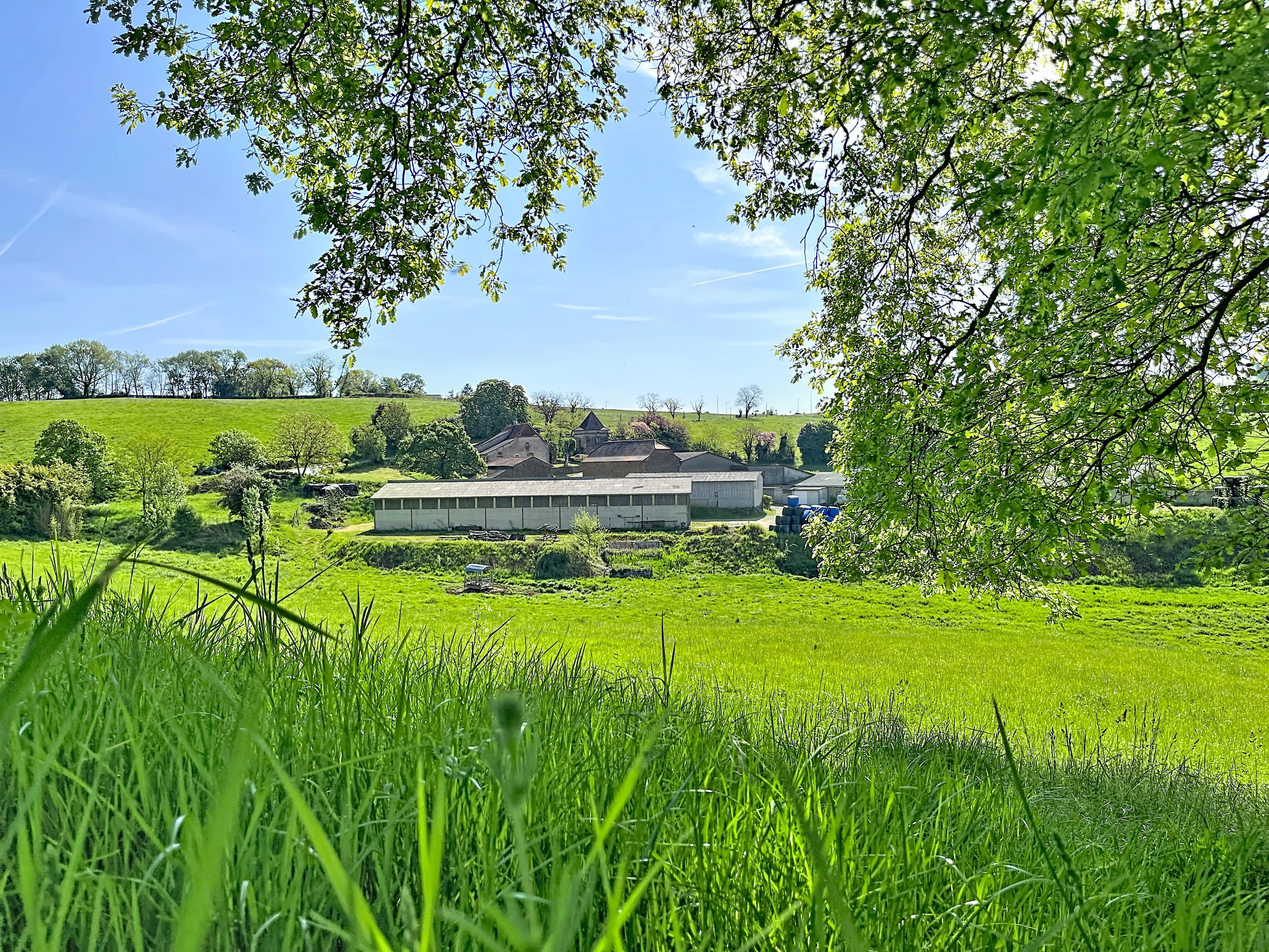 Terres agricoles - 86.0 ha - Chemin de la Toulzane · 80 DPB inclus