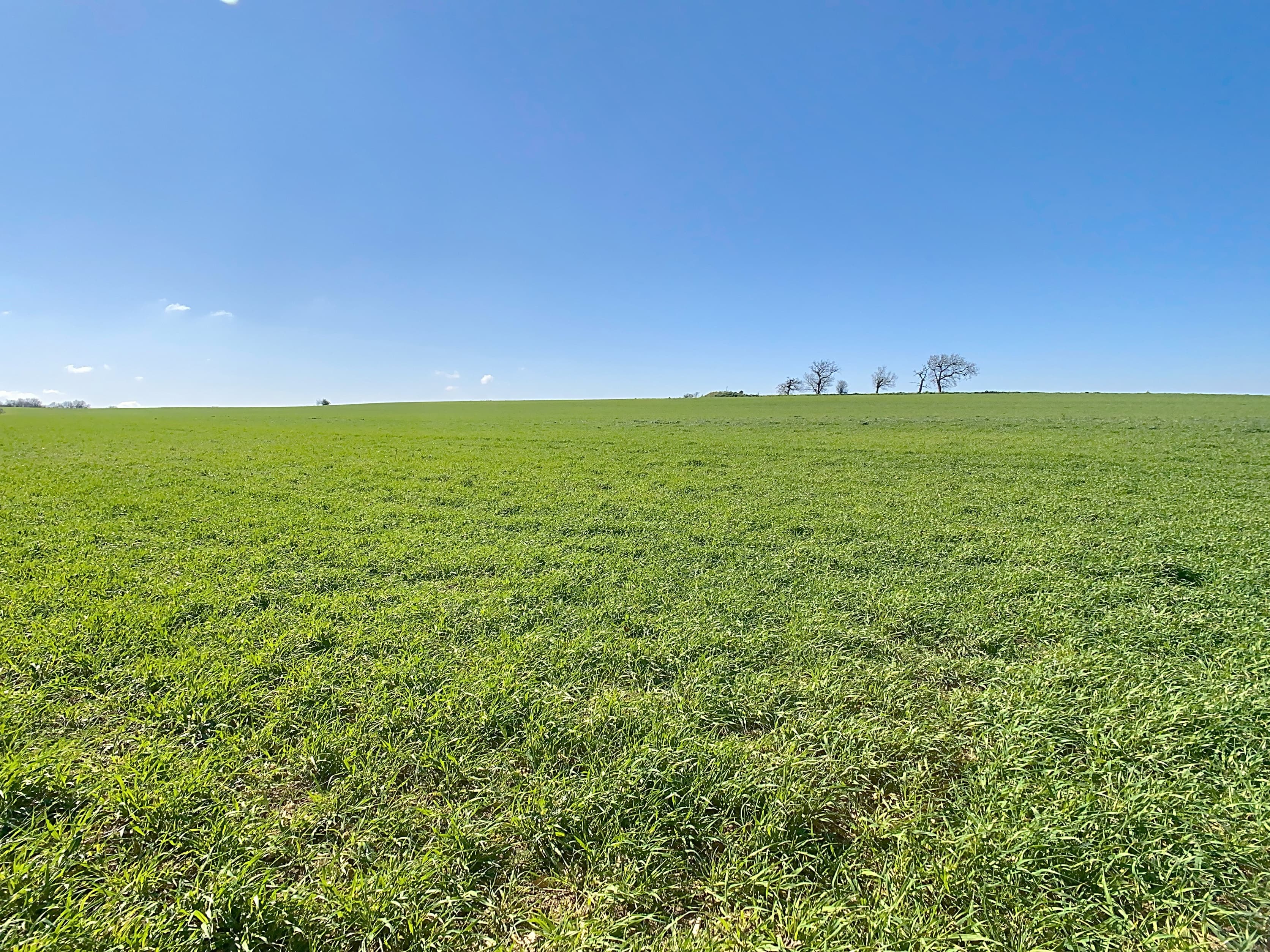 Terres agricoles - 46.6 ha - Bélesta-en-Lauragais - Image 4