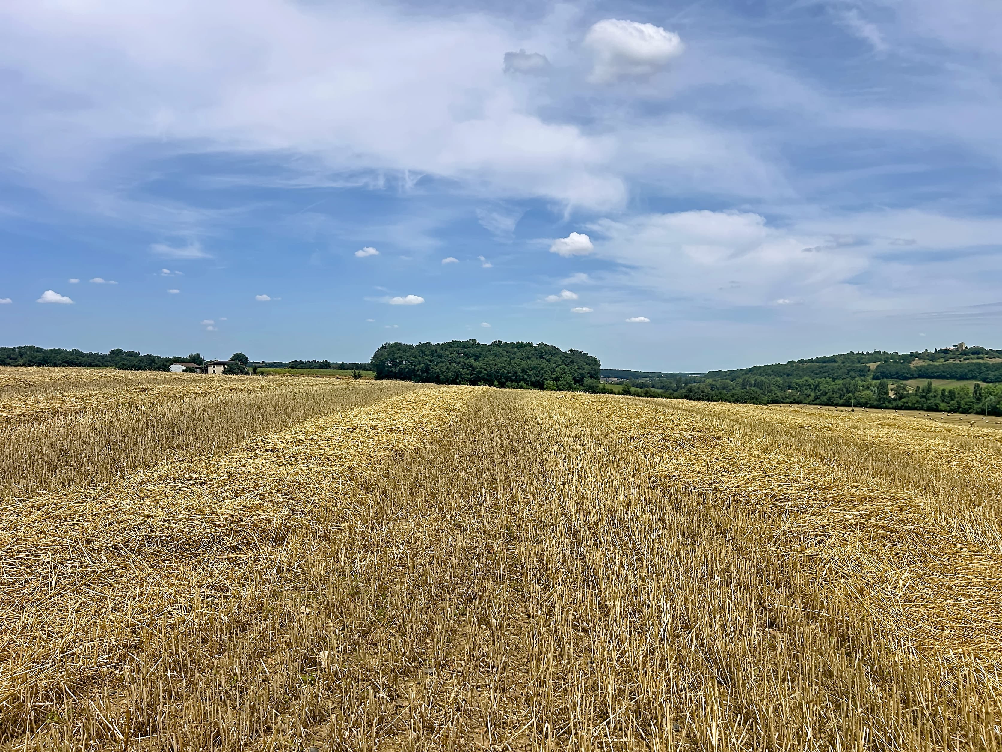 Terres agricoles - 125.0 ha - Auch · 119 DPB inclus - Image 3
