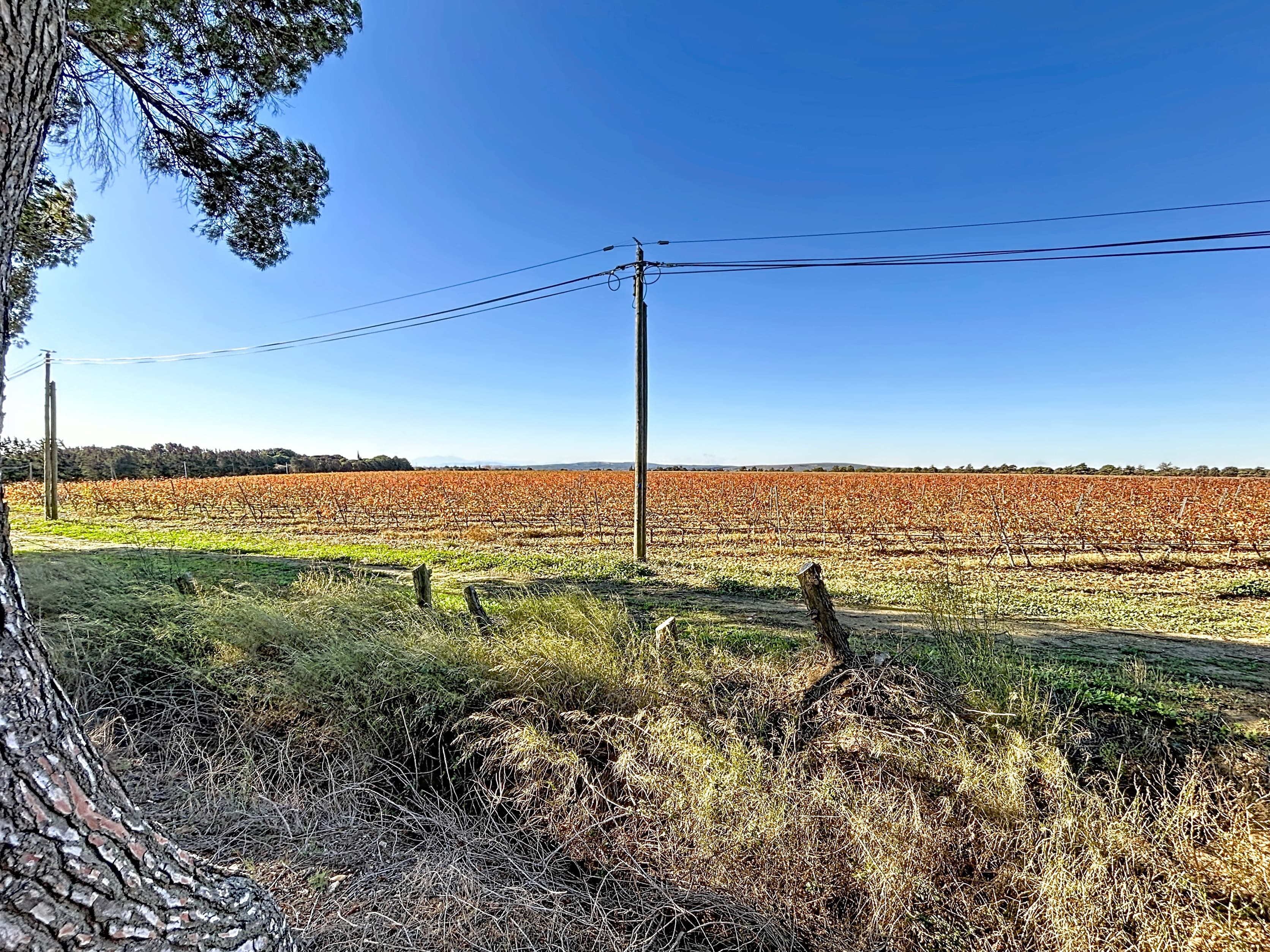 Terres agricoles - 130.0 ha - Domaine de la Yole - Image 3