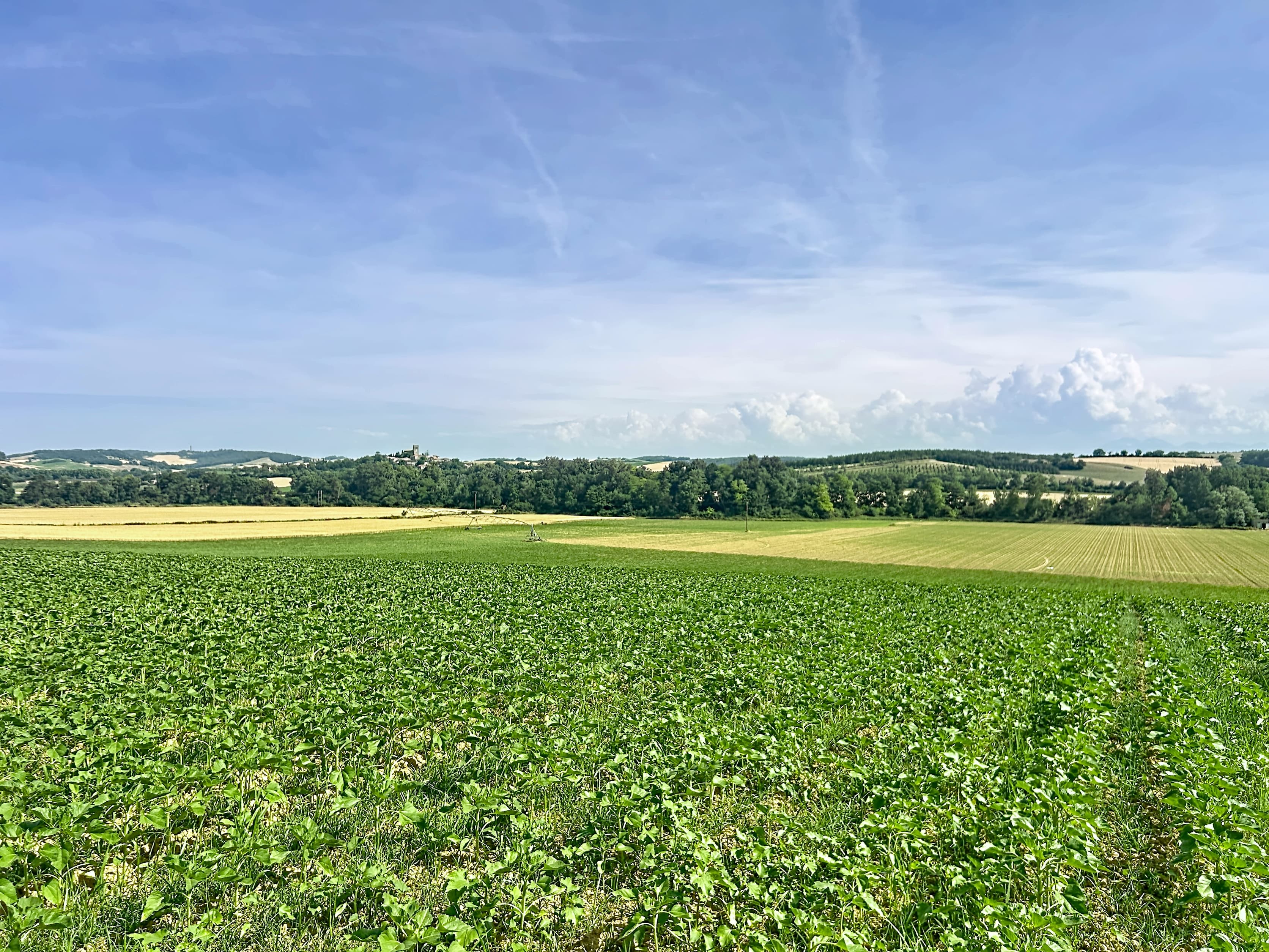 Terres agricoles - 62.0 ha - Belpech · 62 DPB inclus