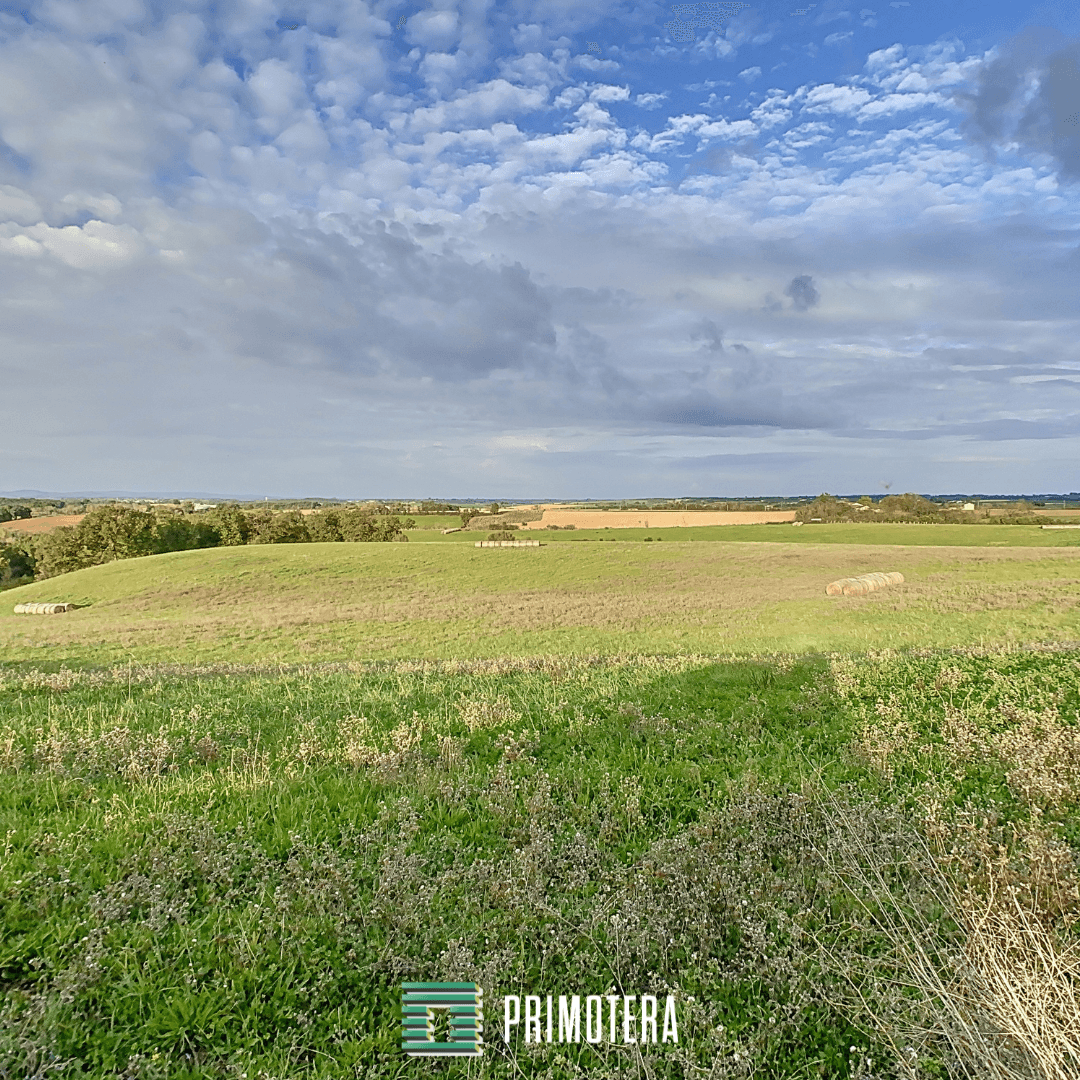 Terres agricoles - 49.0 ha - Chemin de Mas Courrèges - Image 6