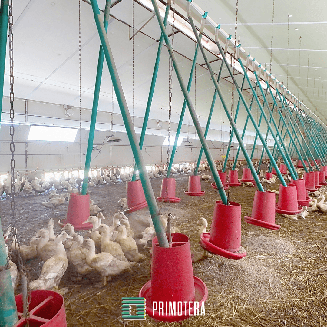 Terres agricoles - 48.9 ha - Chemin de Plavès - Image 4