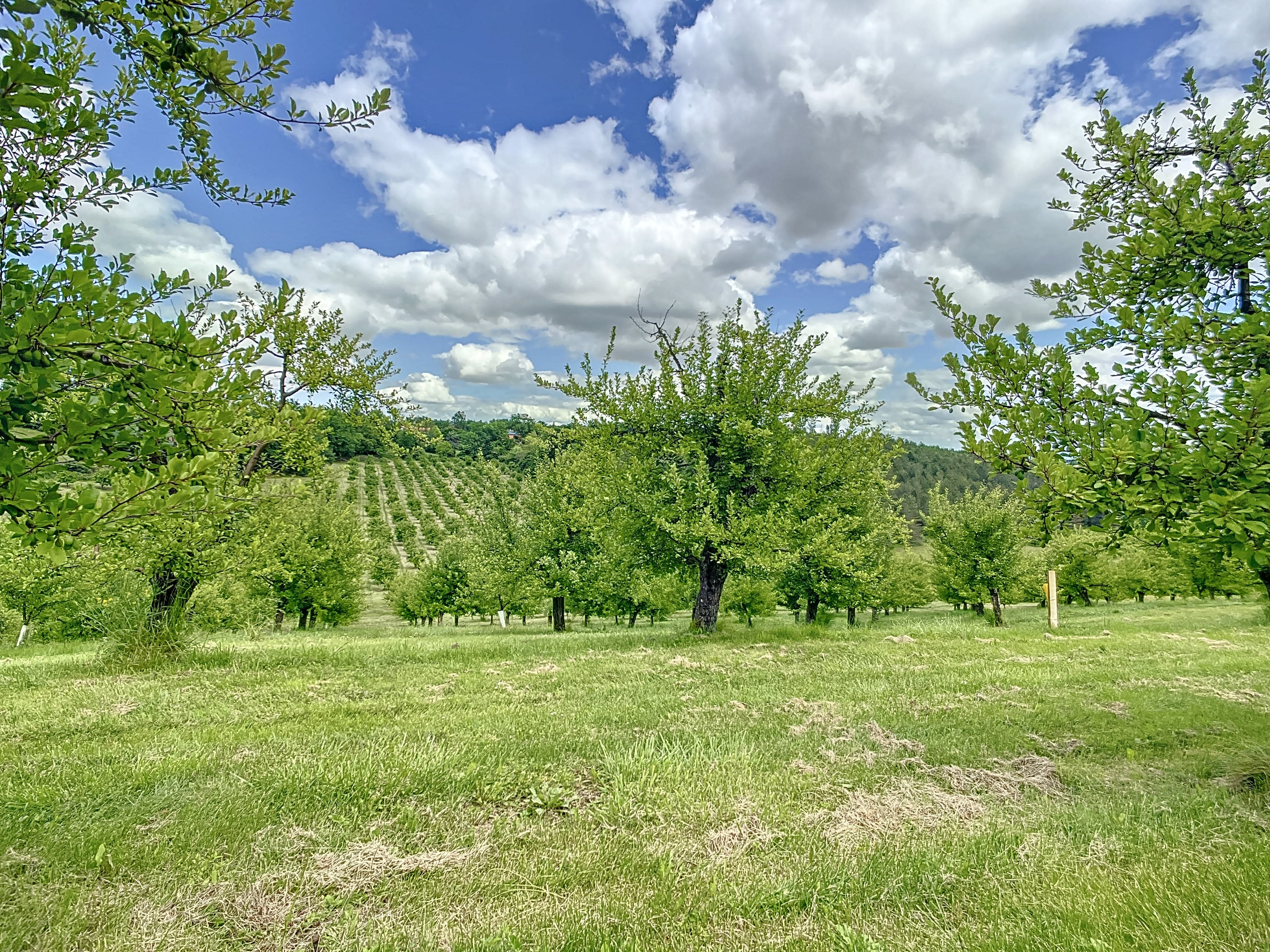 Terres agricoles - 14.7 ha - Route du Foyt