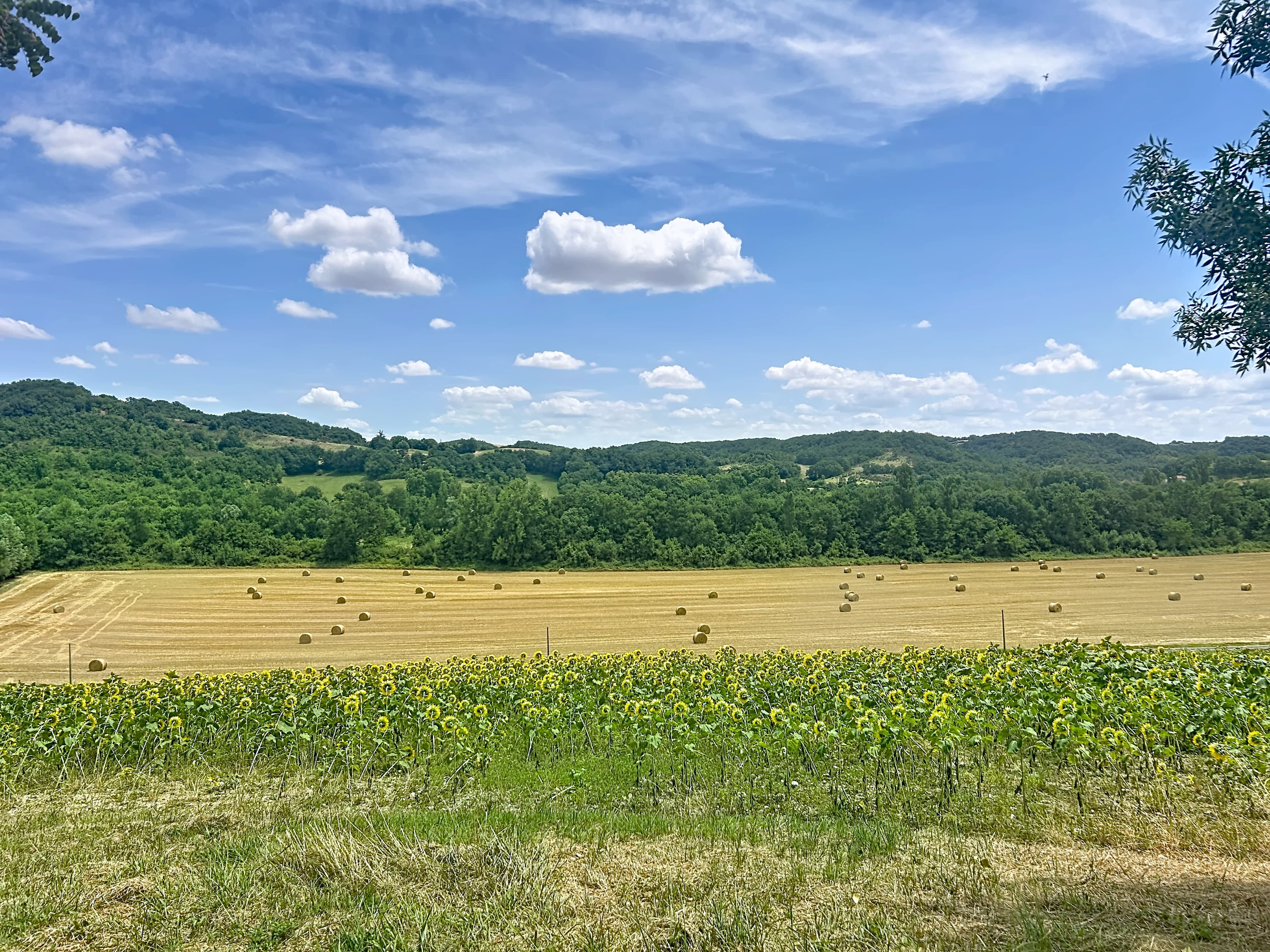 Terres agricoles - 125.0 ha - Auch · 119 DPB inclus - Image 2