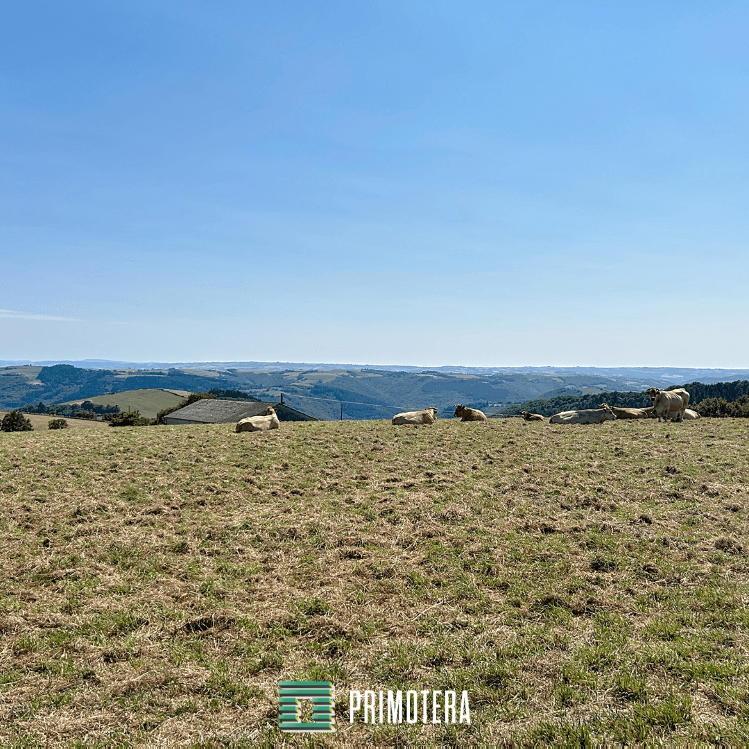 Terres agricoles - 24.0 ha - La Borie de Toupi - Image 2