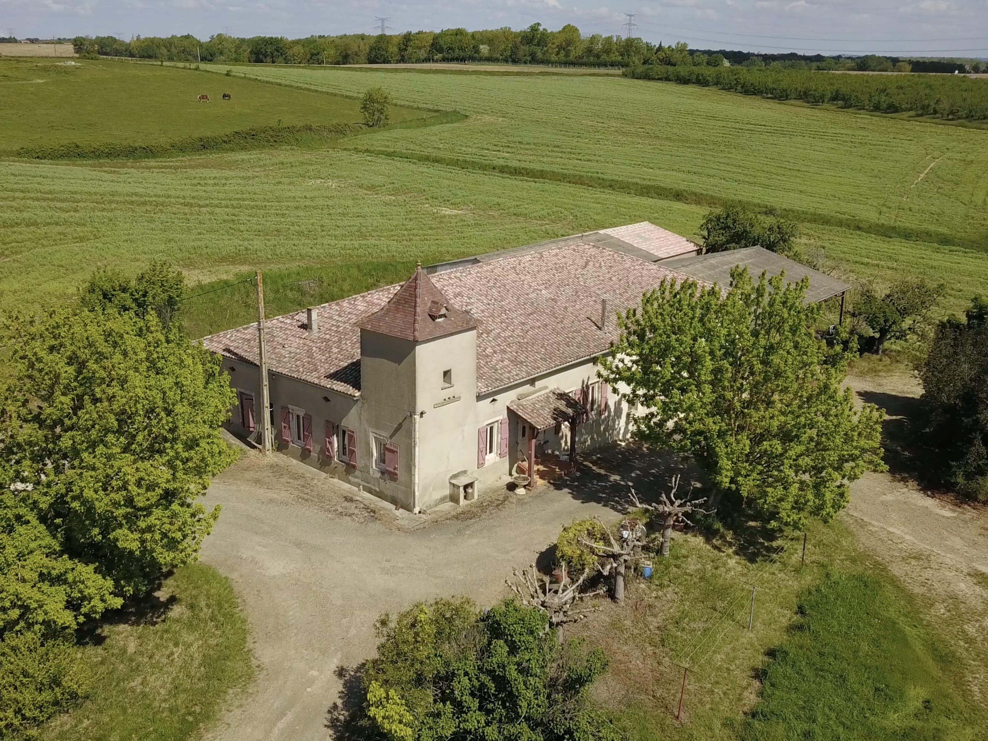 Terres agricoles - 97.7 ha - Gajos - Image 4