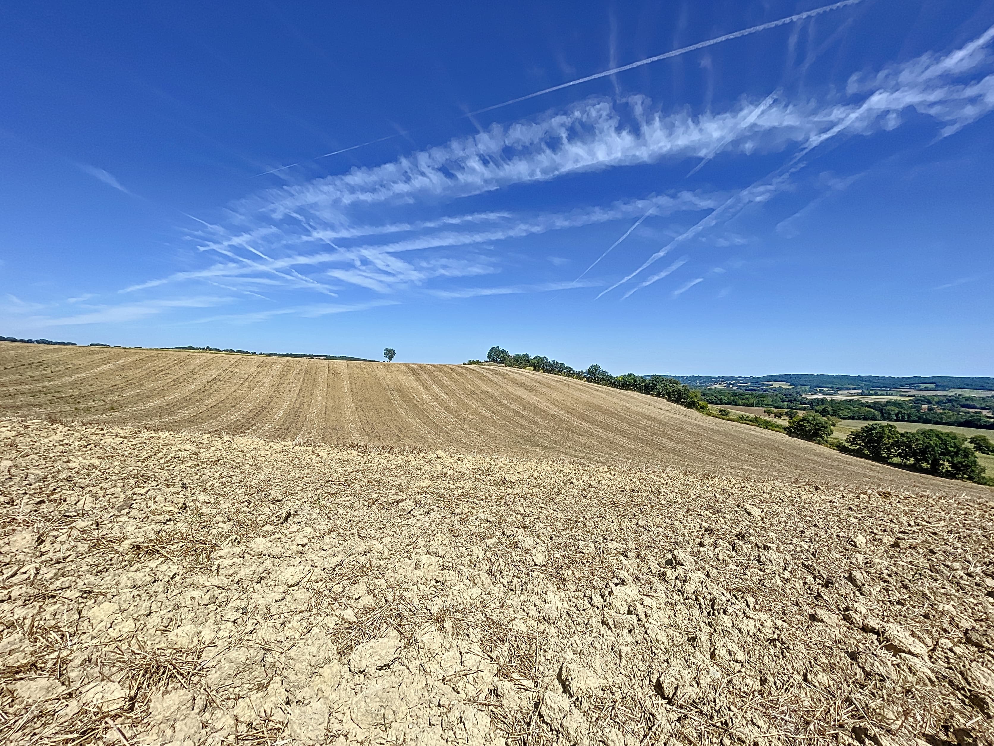Terres agricoles - 140.0 ha - Bordeneuve
