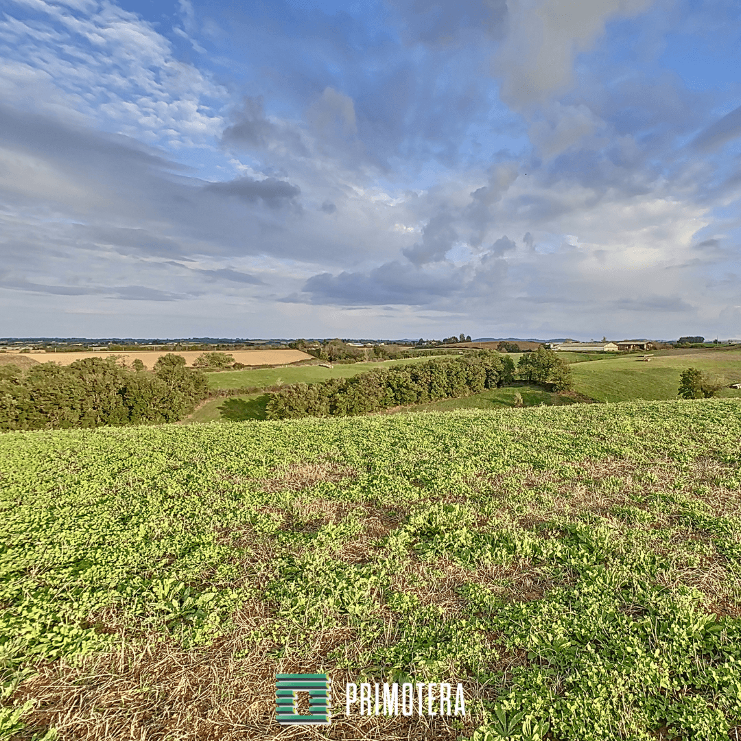 Terres agricoles - 49.0 ha - Chemin de Mas Courrèges