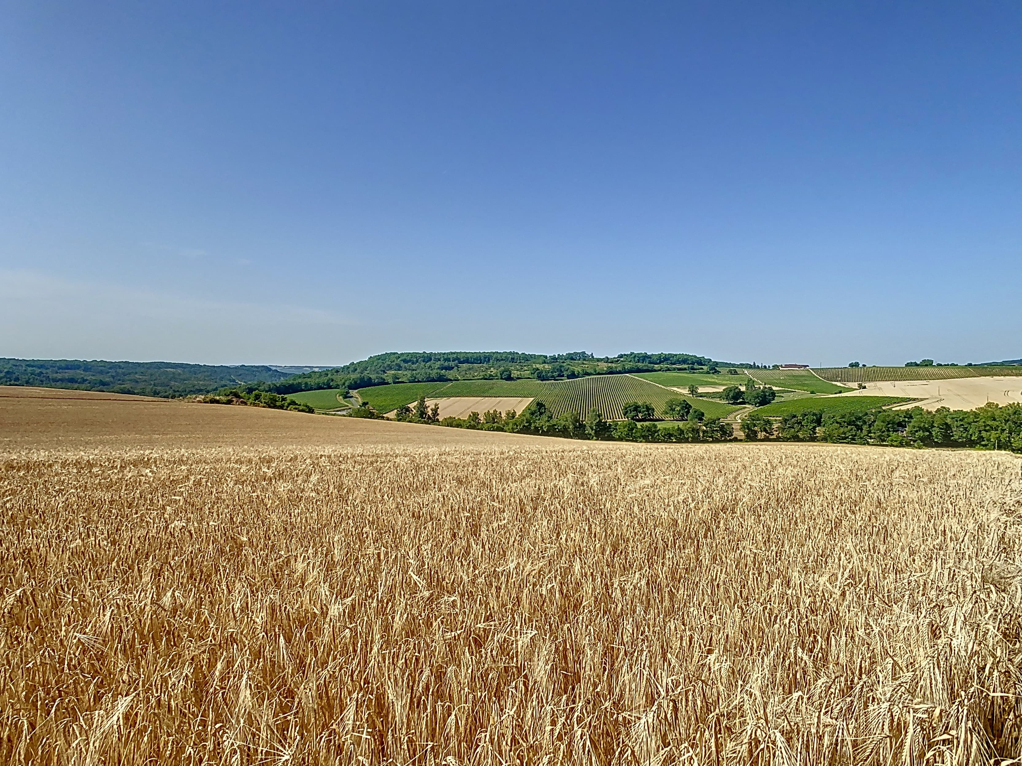 Terres agricoles - 39.6 ha - Campagnac - Image 6