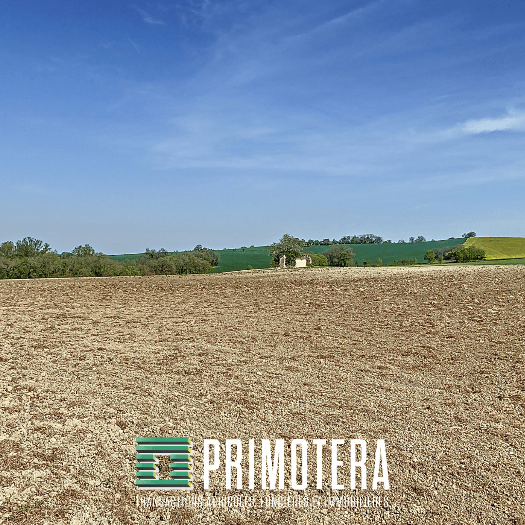 Terres agricoles - 15.6 ha - A Saint-Pé - Image 3