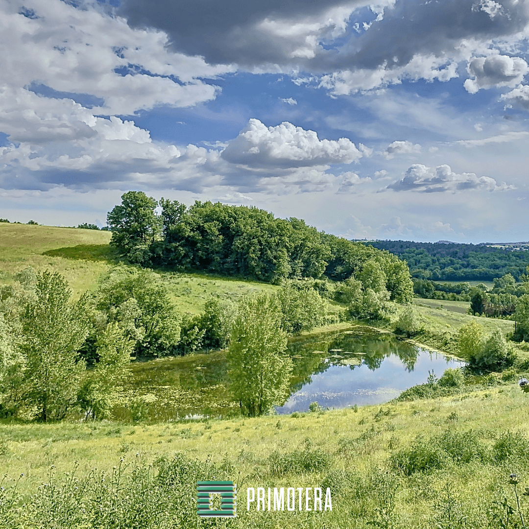 Terres agricoles - 120.0 ha - La Ricaudié - Image 5