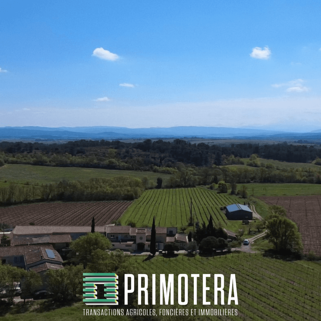 Terres agricoles - 12.0 ha - Pennautier - Image 5