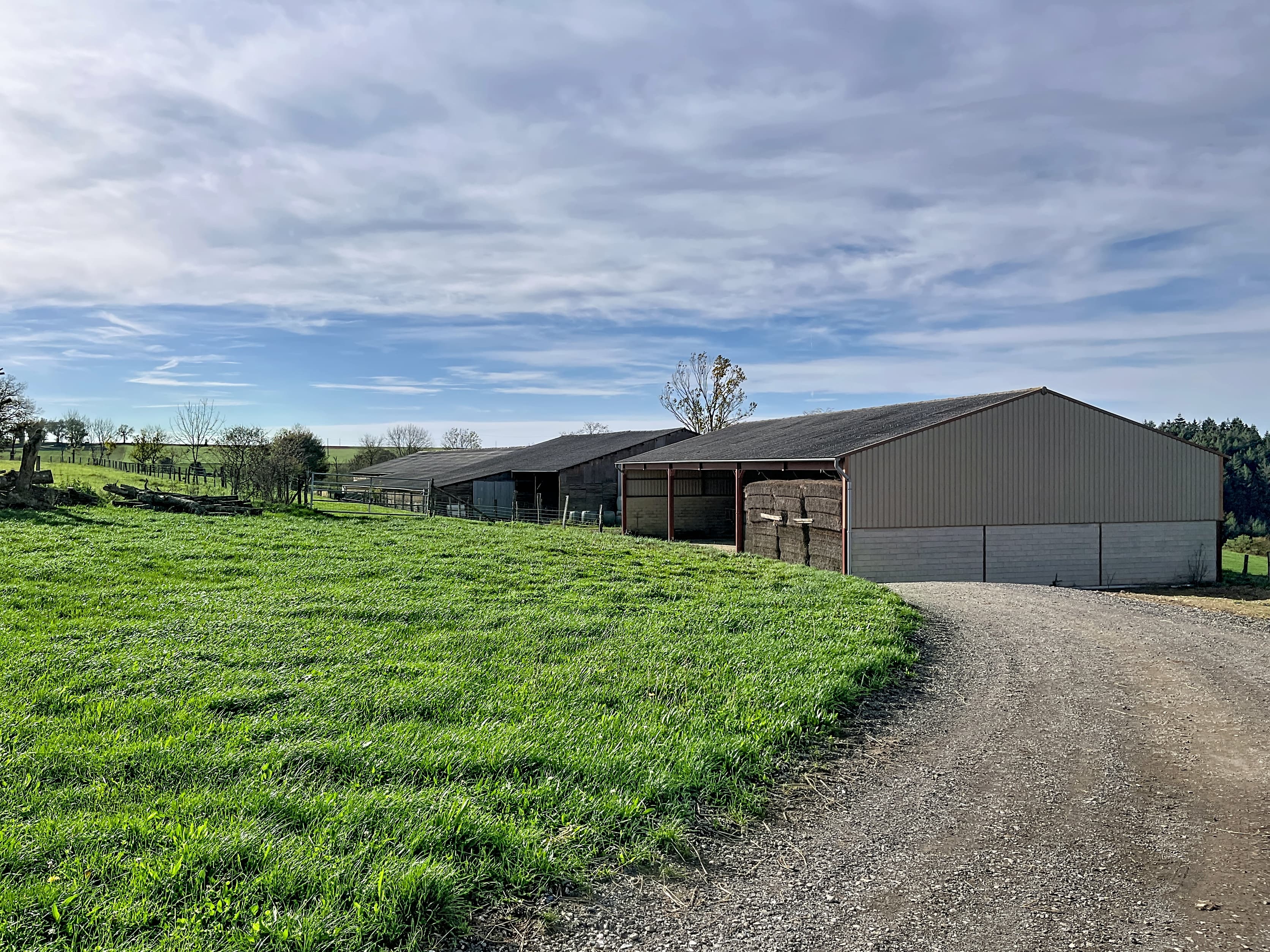 Terres agricoles - 52.0 ha - Chemin de Virazels - Image 9