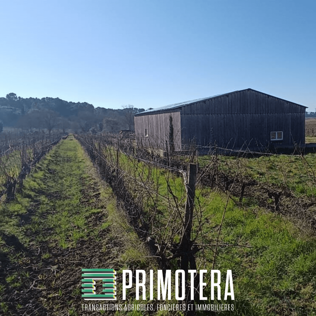 Terres agricoles - 12.0 ha - Pennautier - Image 4