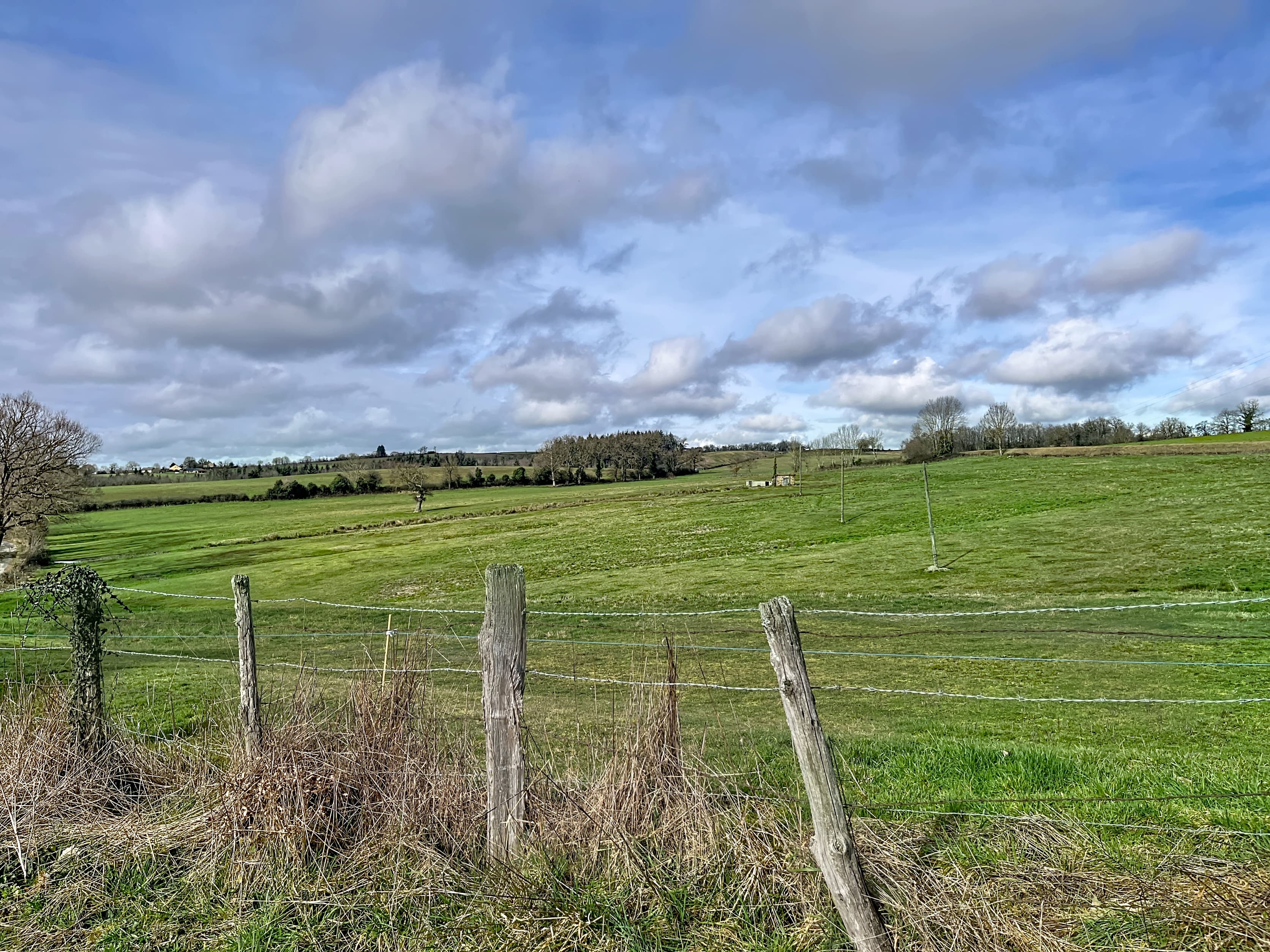 Terres agricoles - 27.0 ha - Rancillac - Image 9