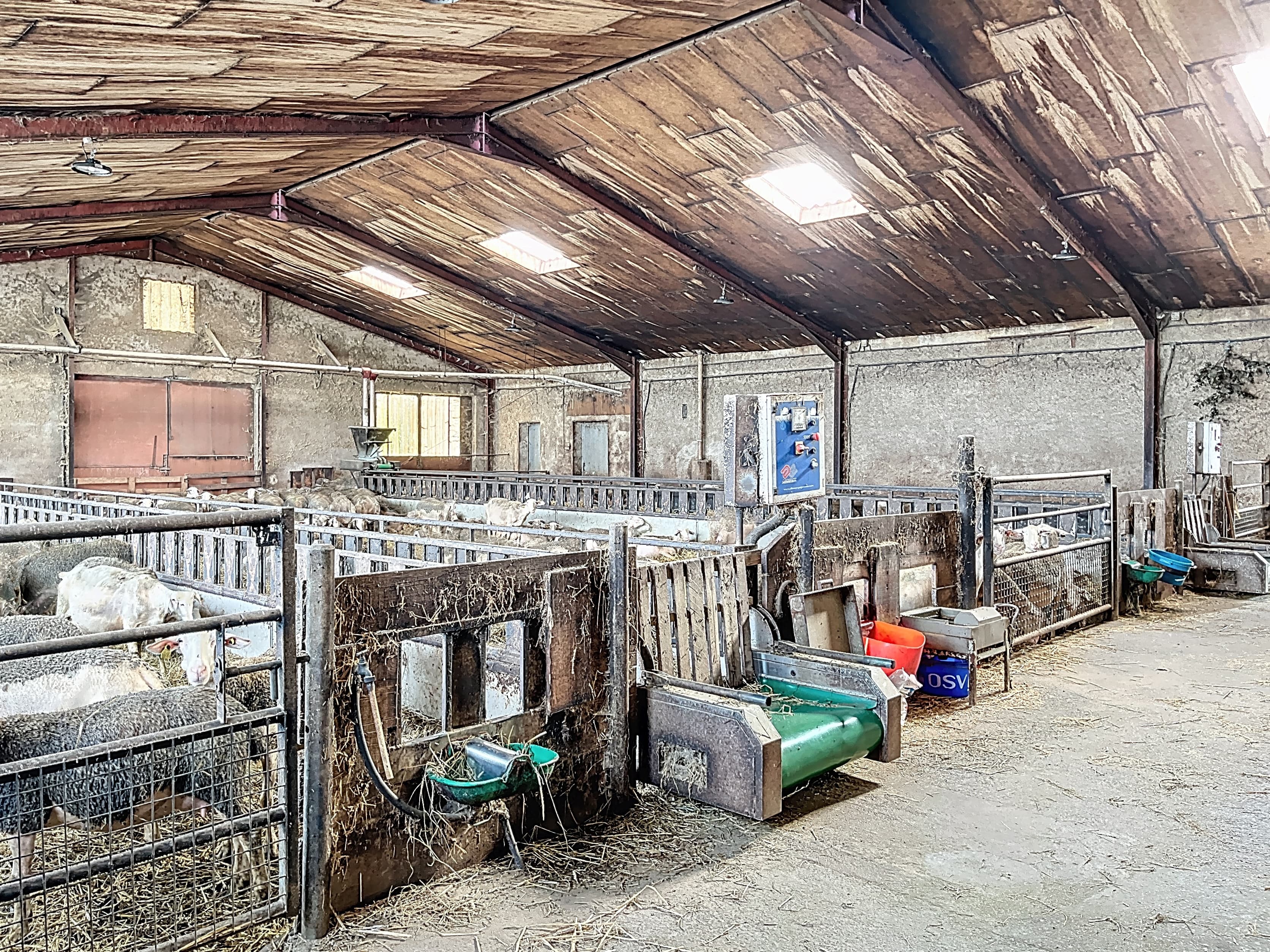 Terres agricoles - 52.0 ha - Chemin de Virazels - Image 7