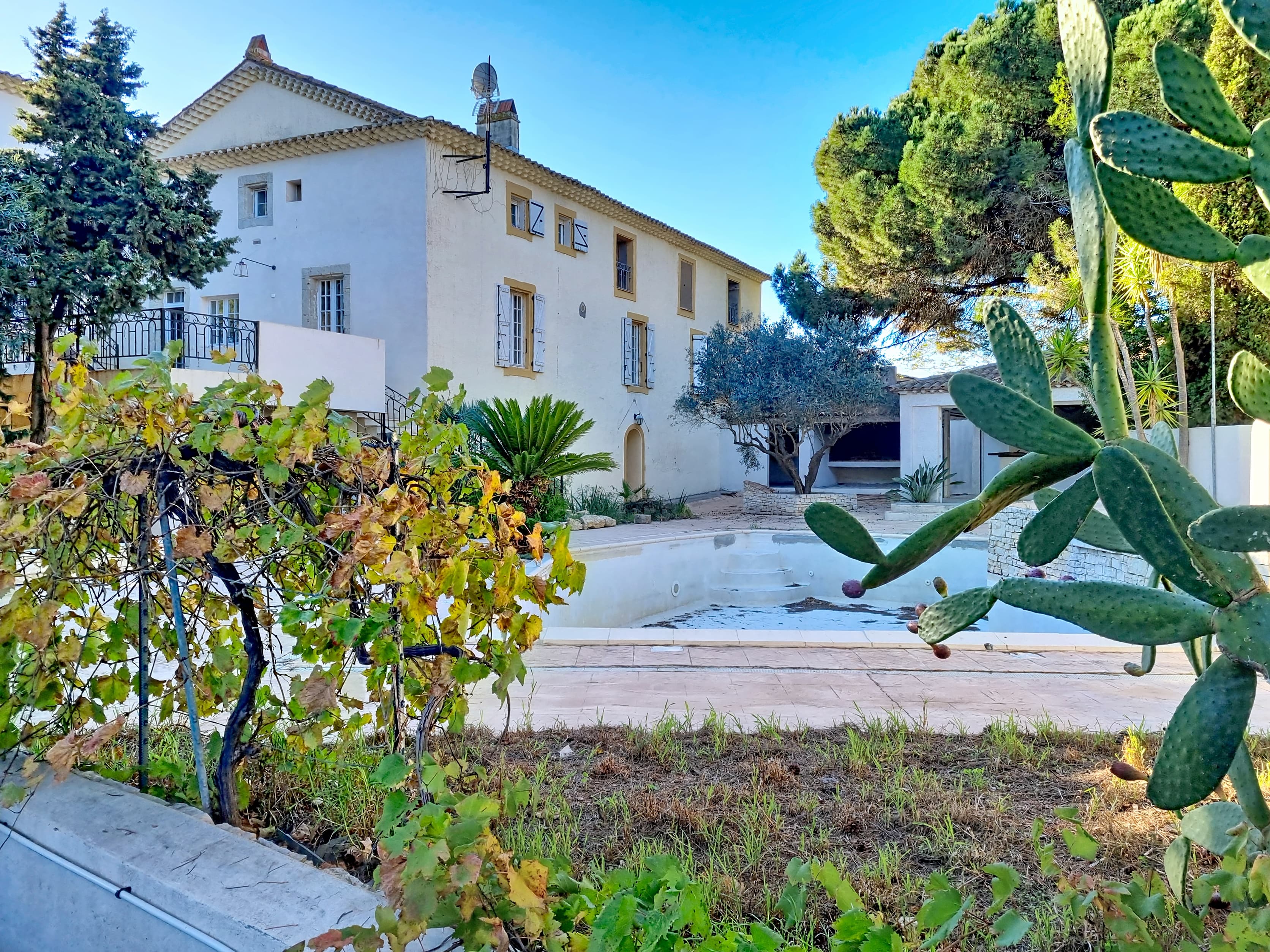 Terres agricoles - 130.0 ha - Domaine de la Yole - Image 4