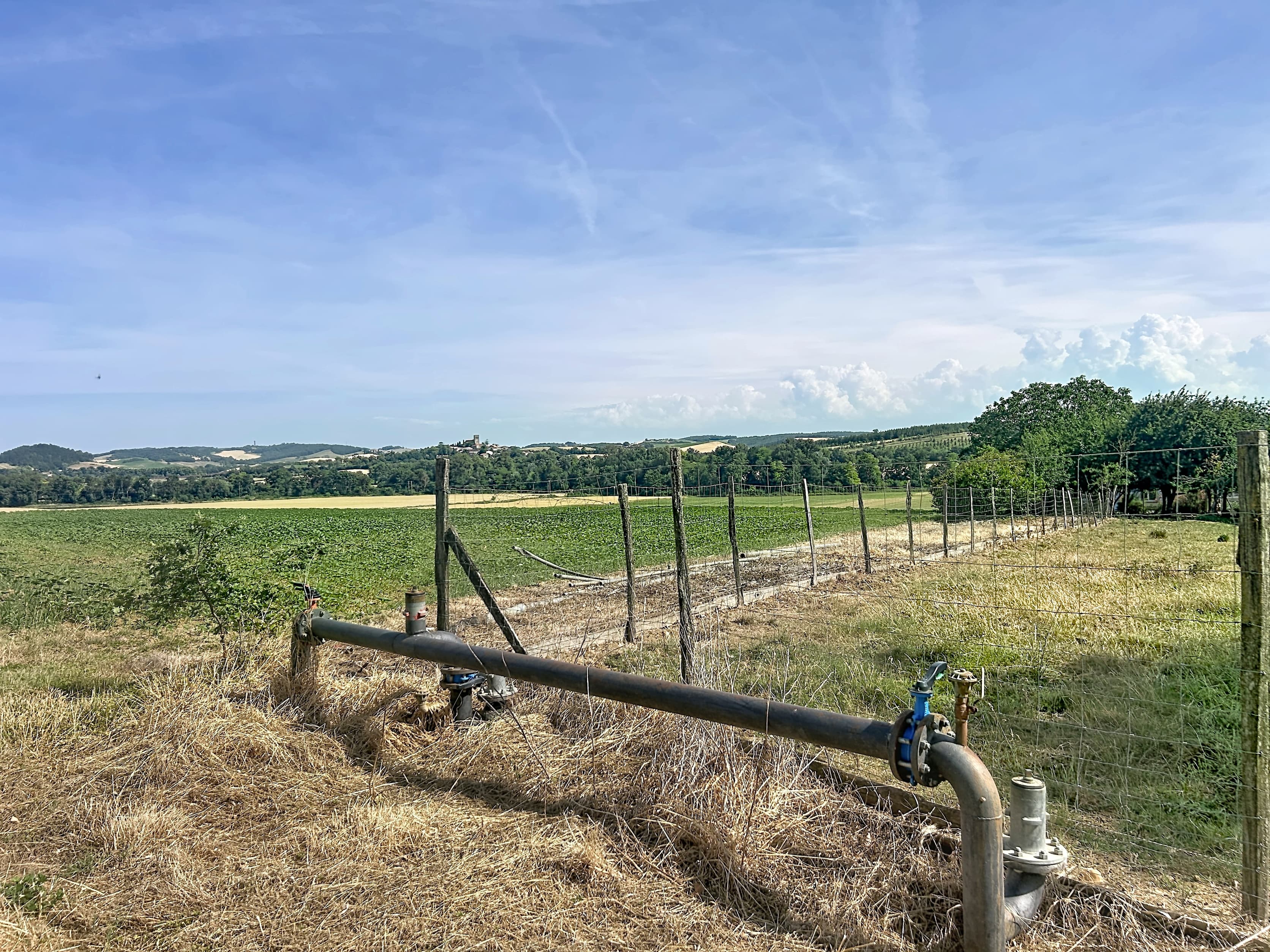 Terres agricoles - 62.0 ha - Belpech · 62 DPB inclus - Image 4