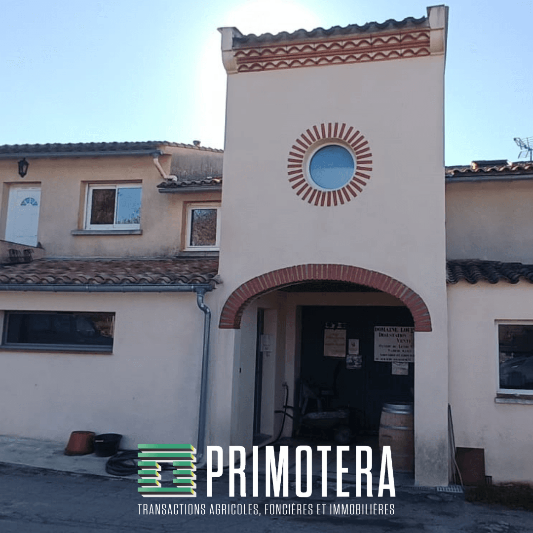 Terres agricoles - 12.0 ha - Pennautier - Image 2