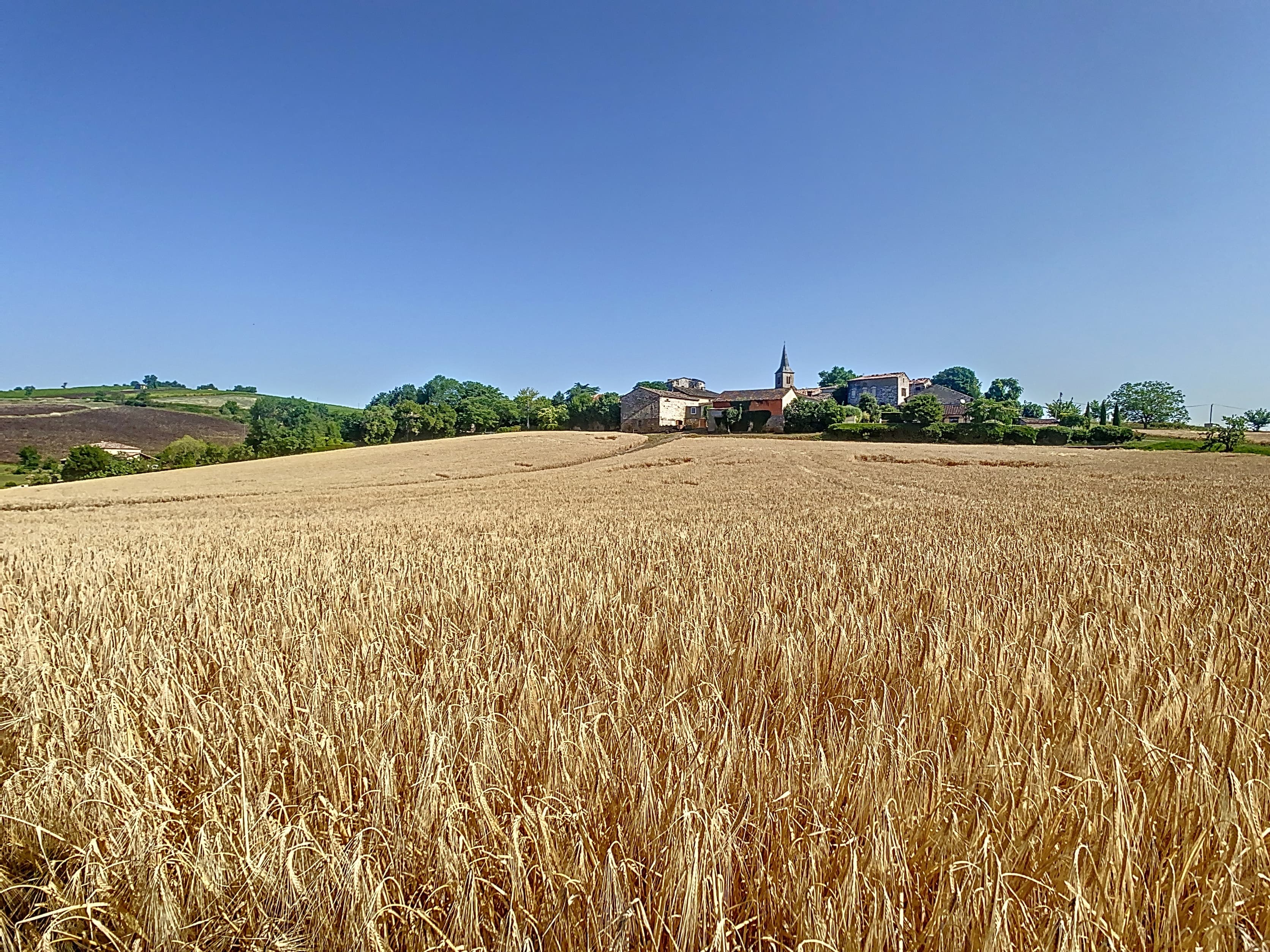 Terres agricoles - 39.6 ha - Campagnac - Image 7