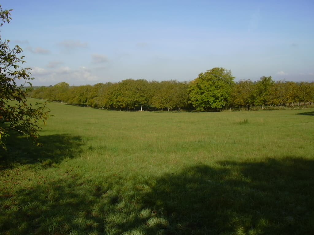 Terres agricoles - 4.1 ha - Gouffern en Auge