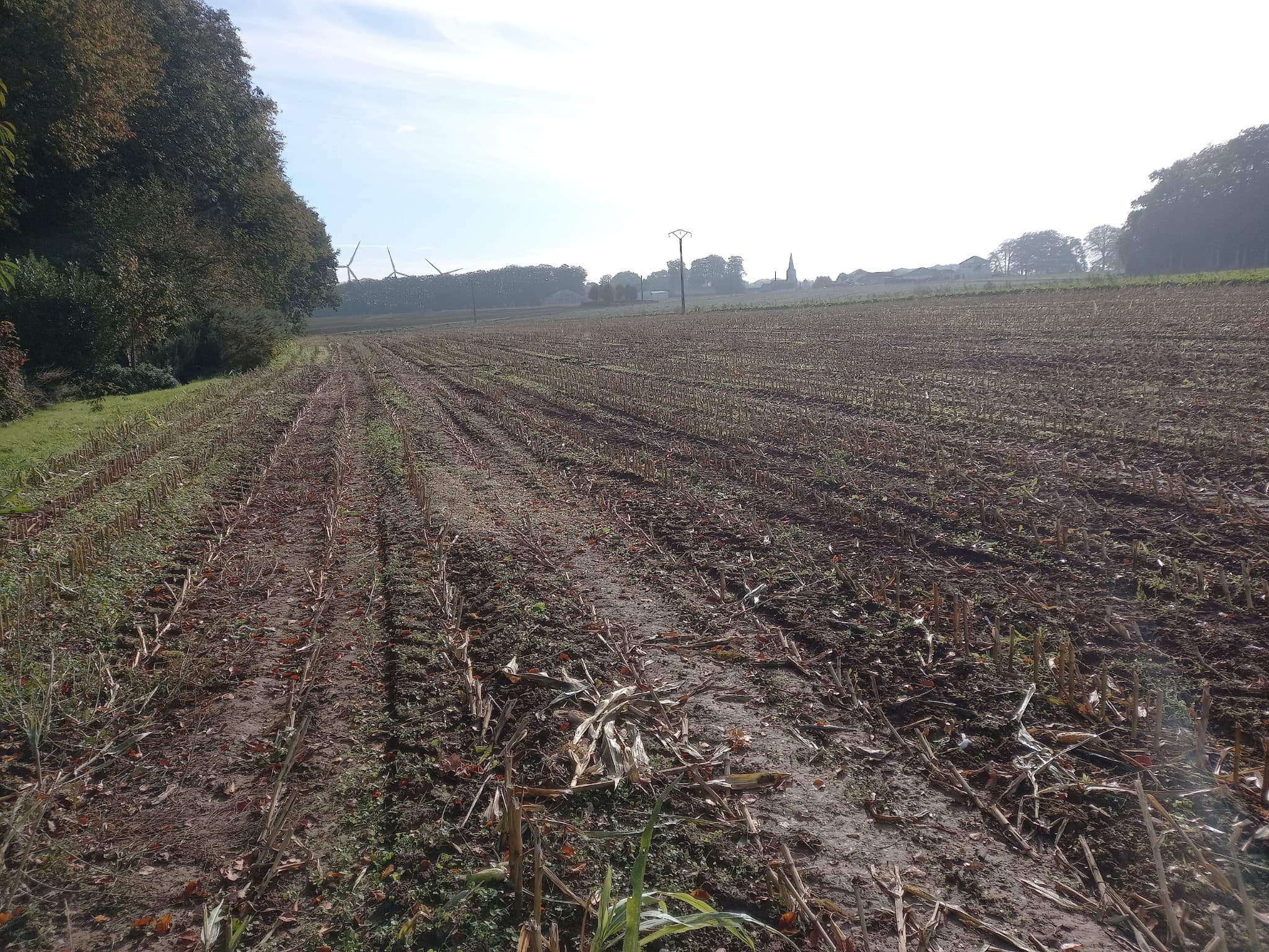 Terres céréalières - 6.5 ha - Yvecrique - Image 2