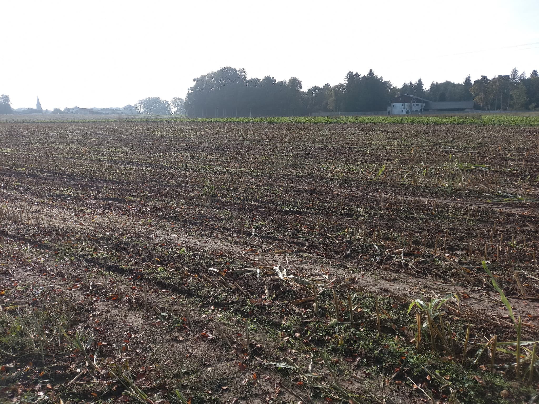 Terres céréalières - 6.5 ha - Yvecrique