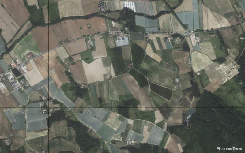 Verger - 1.0 ha - 7 hA - Lafrançaise - Image 3