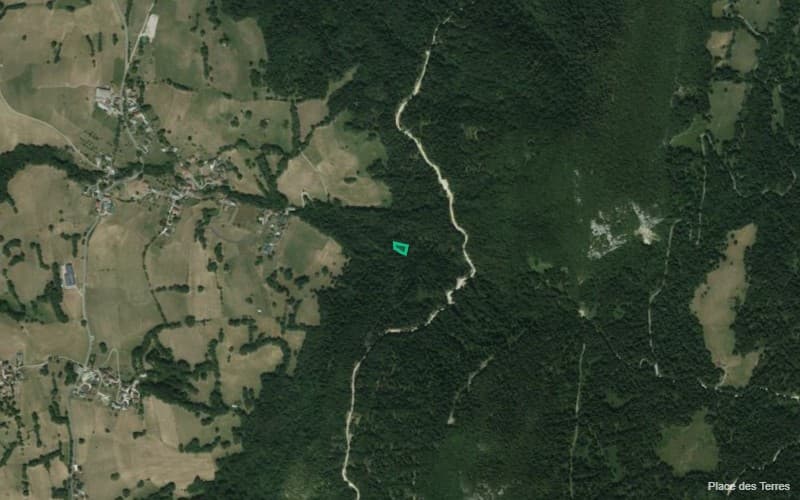 Forêt - 0.1 ha - La Motte-en-Bauges - Image 2