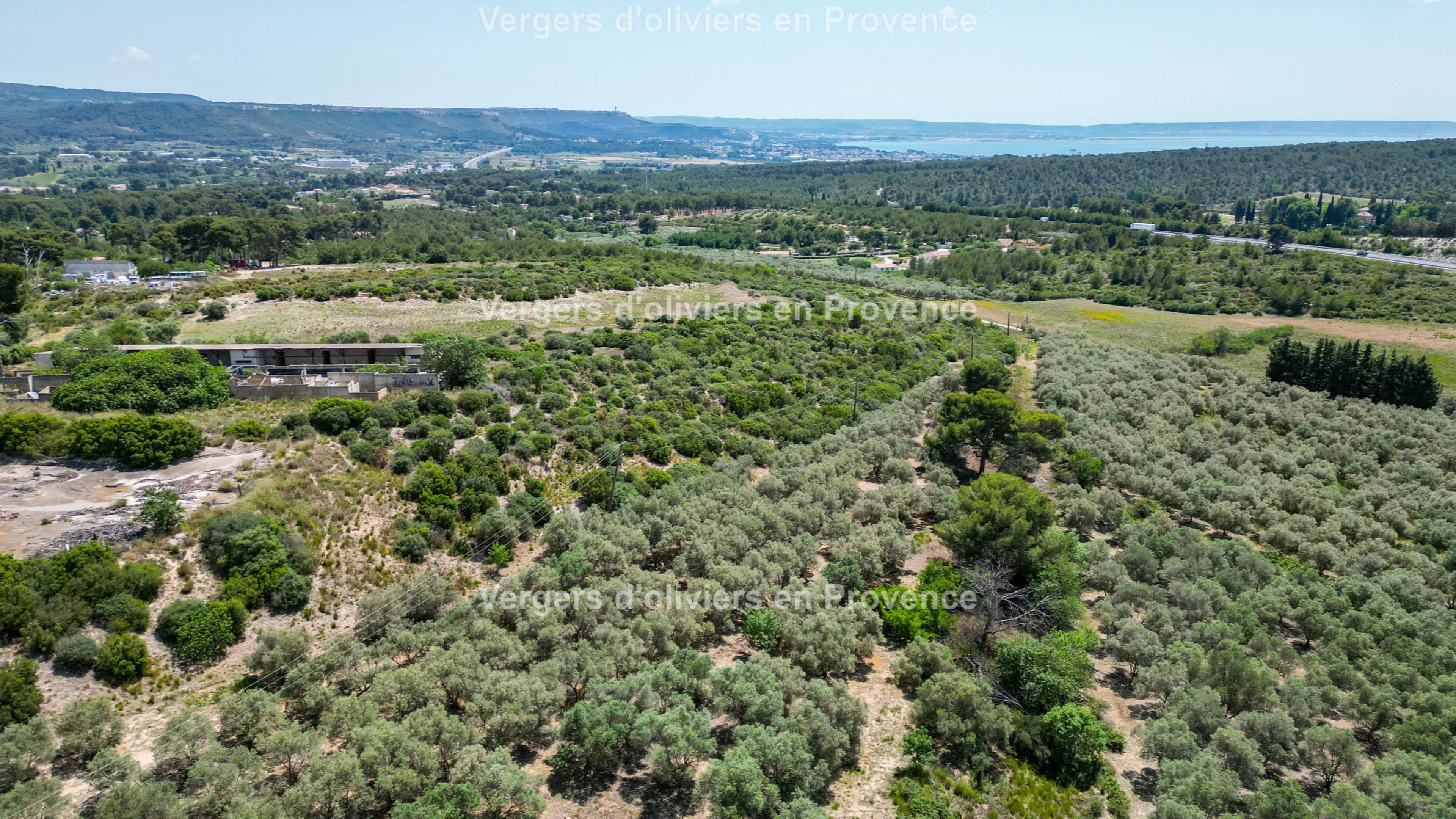 Terres agricoles - 36.9 ha - 13880 - Image 3