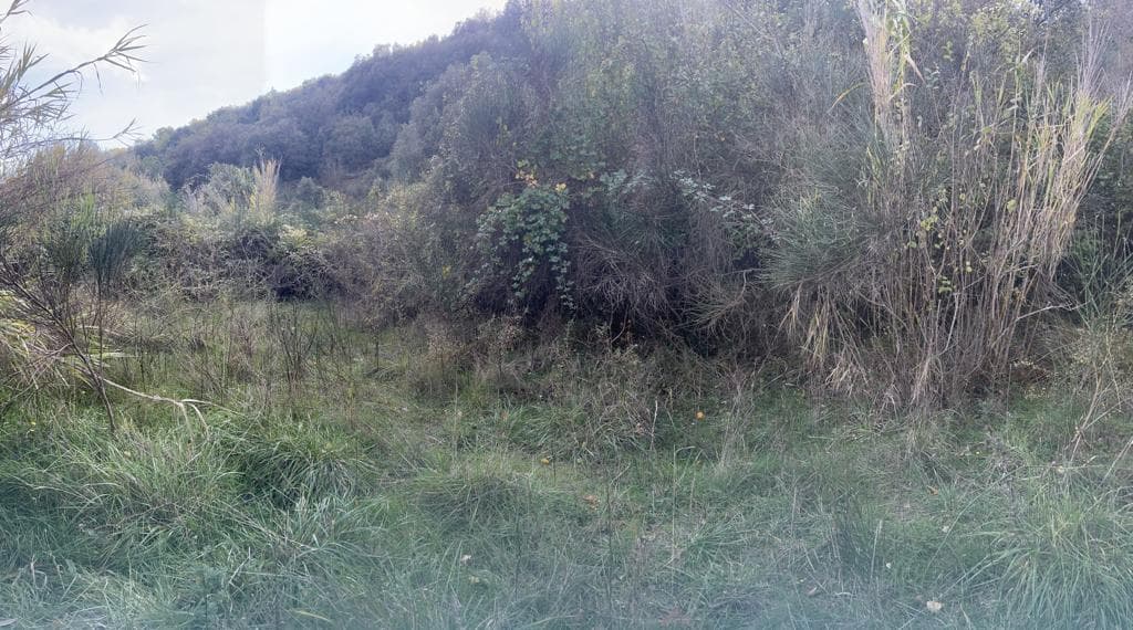 Terres agricoles - 7.0 ha - Vence