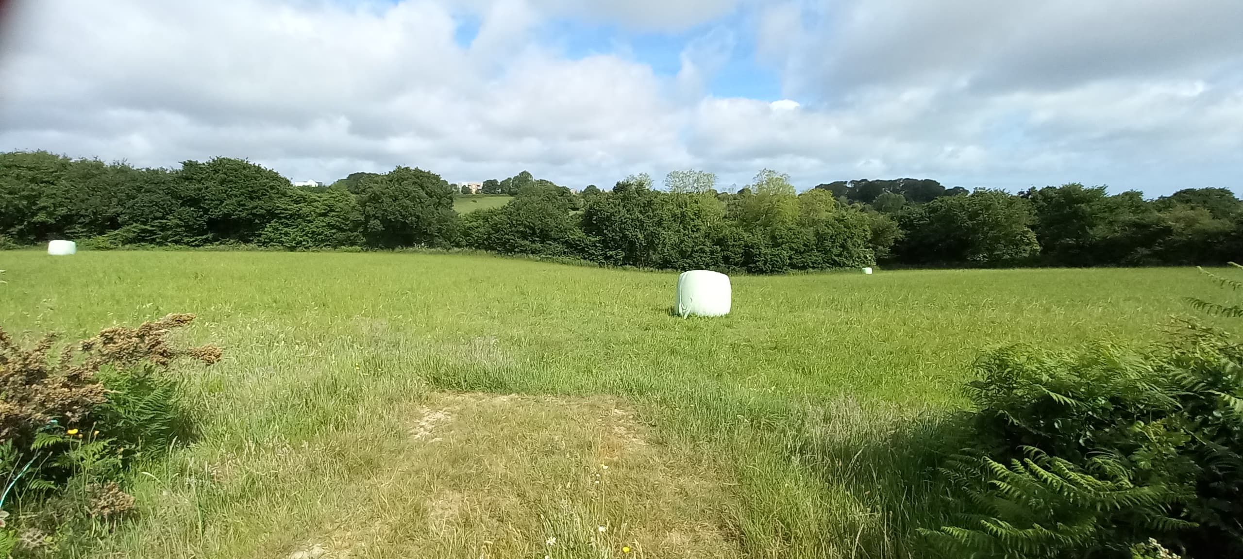 Terres agricoles - 1.2 ha - Équeurdreville-Hainneville