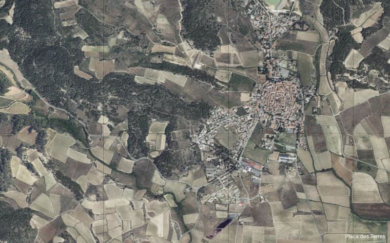 Vignoble - 4.9 ha - Laure-Minervois - Image 2