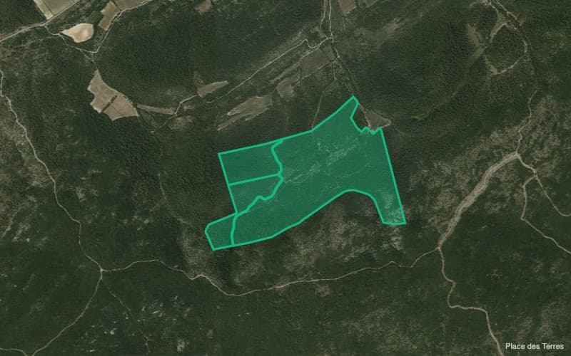 Forêt - 34.4 ha - Carnas