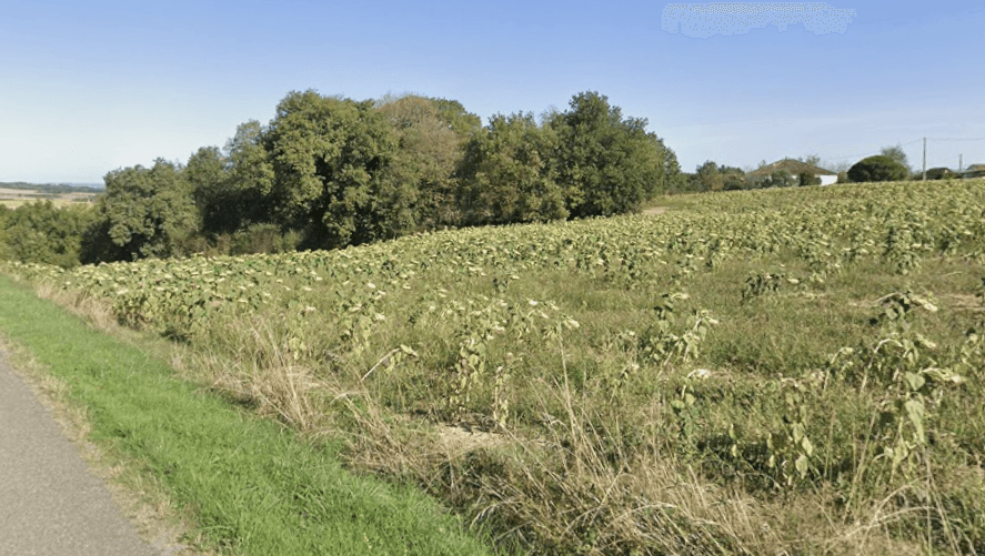 Terres agricoles — Grandes cultures cerealières - 5.4 ha - Dunes - Image 2