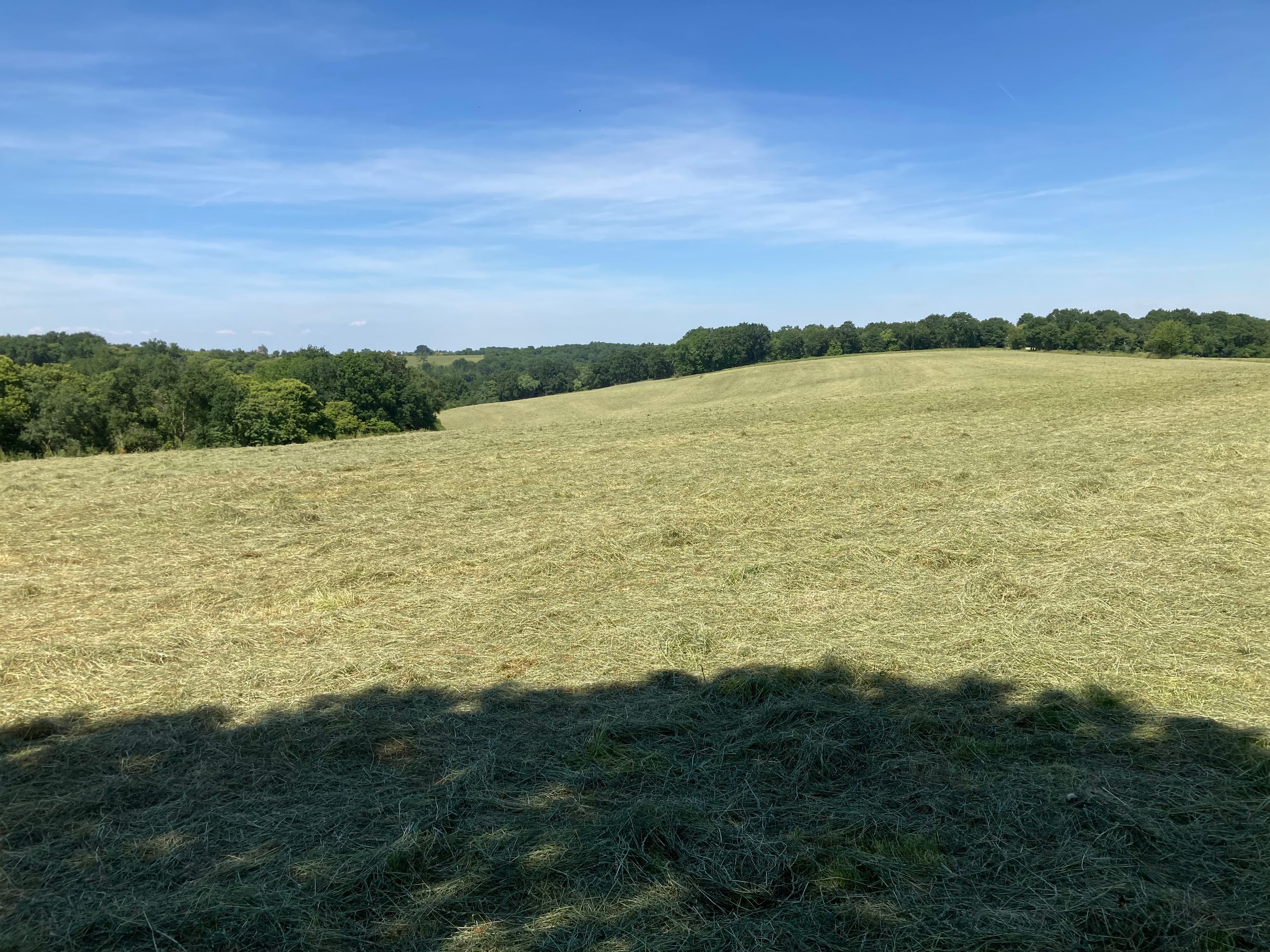 Terres agricoles - 18.0 ha - Lembeye