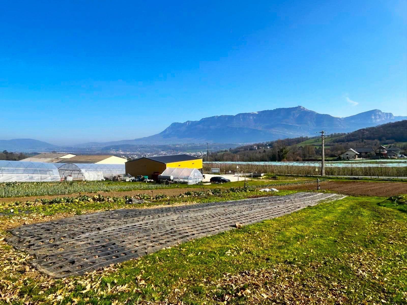 Terres maraîchères - 2.6 ha - La Motte-Servolex - Image 2