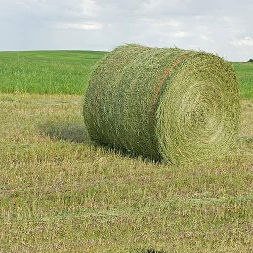 Fourrage et paille - Chaumont - Image 2