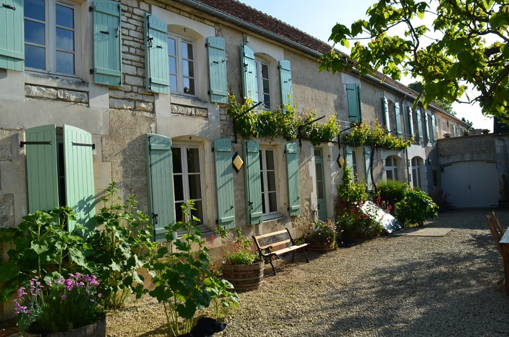 Terres agricoles - 11 ha - Coulanges-la-Vineuse - Image 2