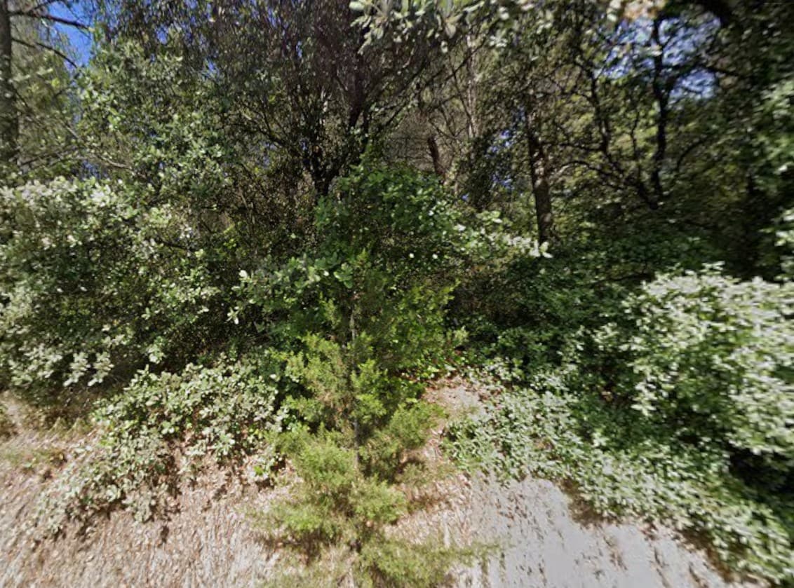 Forêt - 0.3 ha - Sarrians