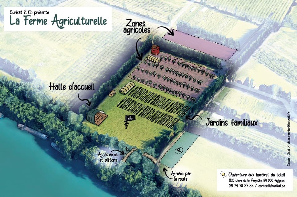 Terres maraîchères - 3.7 ha - Avignon · 2 DPB inclus - Image 4