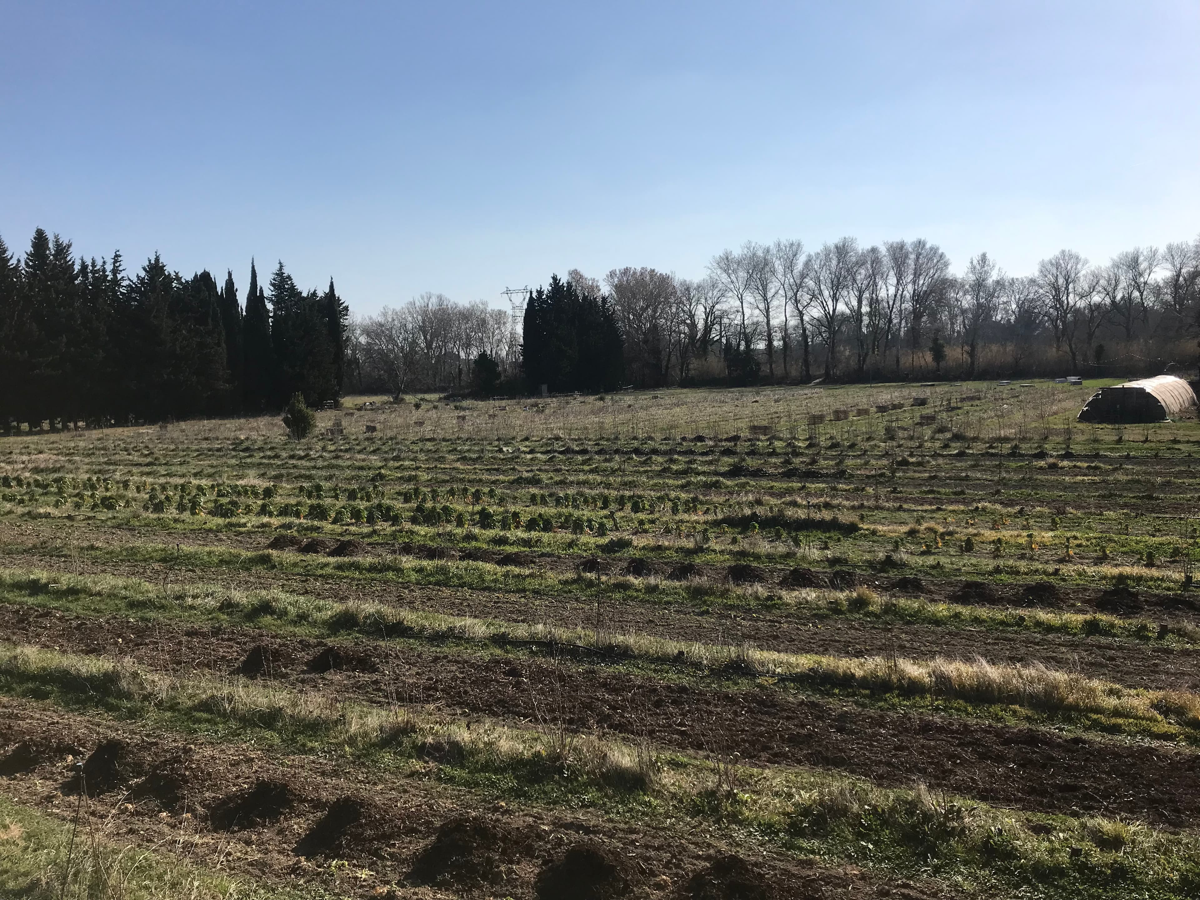 Terres maraîchères - 3.7 ha - Avignon · 2 DPB inclus
